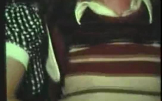 Reinwand (1978) - Brünette vor der Webcam