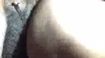 haarige Röhre anal