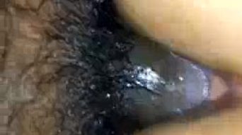 klasmyria anal
